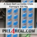 À Quoi Sert La Gelée Orale Kamagra 100 Mg 23